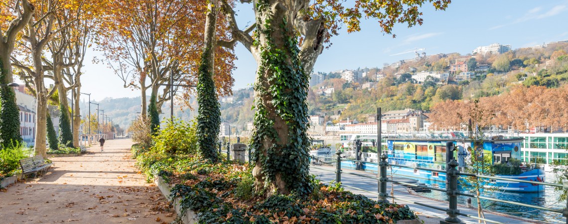 Studio Péniche au coeur de Lyon