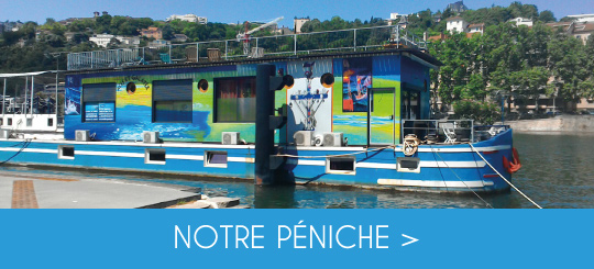 Studio Péniche au coeur de Lyon